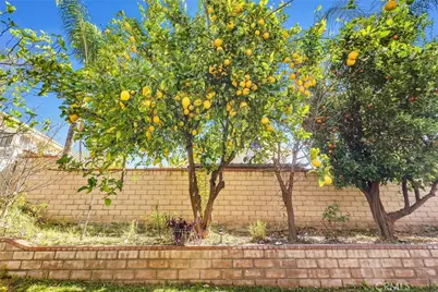 7437 Red Clover Way, Highland, CA 92346 - Photo 26