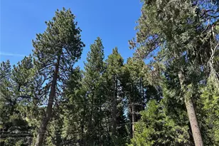2551 Rim of the World Dr, Running Springs, CA 92382 - Photo 36