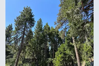 2551 Rim Of The World Drive, Running Springs, CA 92382 - Photo 44