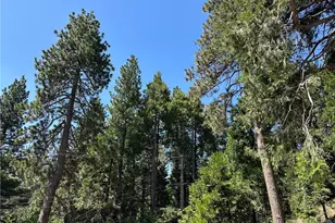 2551 Rim of the World Dr, Running Springs, CA 92382 - Photo 44