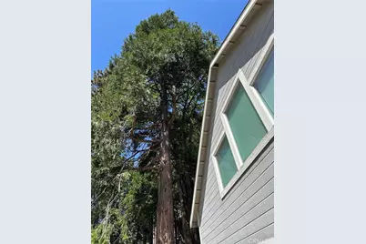 2551 Rim Of The World Drive, Running Springs, CA 92382 - Photo 46
