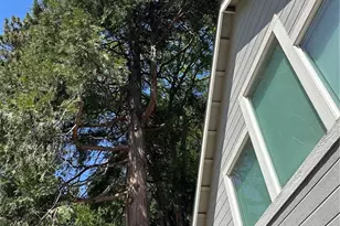 2551 Rim of the World Dr, Running Springs, CA 92382 - Photo 46
