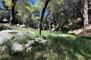1076 Calanda, Crestline, CA 92325 - Photo 54