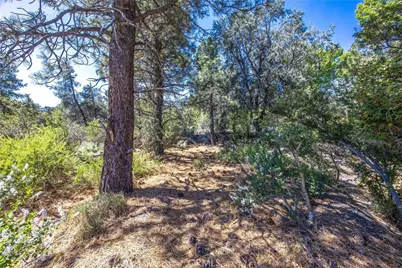 2164 Outer Hwy 2 Highway, Wrightwood, CA 92397 - Photo 26