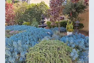 1416 N Vista, Los Angeles, CA 90046 - Photo 6