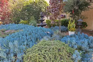 1416 N Vista, Los Angeles, CA 90046 - Photo 6