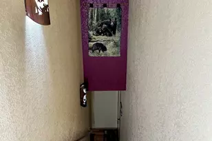 783 Villa Grove, Big Bear Lake, CA 92314 - Photo 50