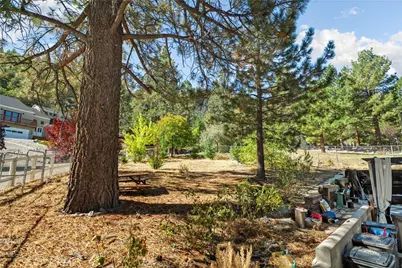 5420 Shirley, Wrightwood, CA 92397 - Photo 38