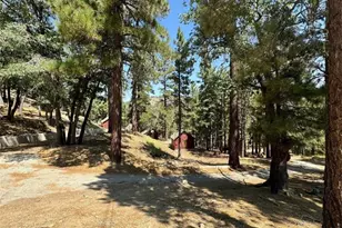 5420 Shirley, Wrightwood, CA 92397 - Photo 32