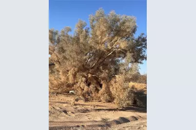 0 La Ferney, Joshua Tree, CA 92252 - Photo 6
