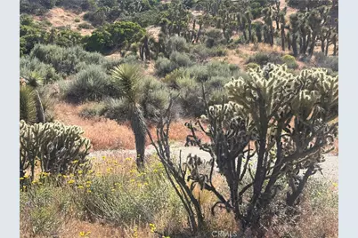 0 Mesquite Road, Pinon Hills, CA 92372 - Photo 8
