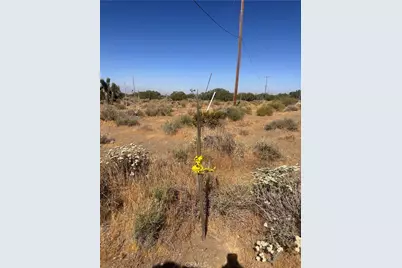 0 Coyote / Pionero Road, Pinon Hills, CA 92372 - Photo 6