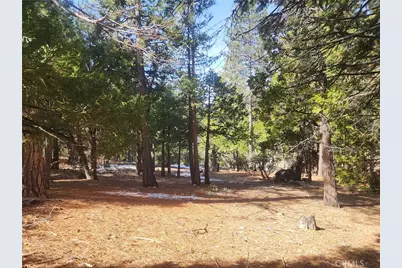 52547 Pine Cove, Idyllwild, CA 92549 - Photo 34