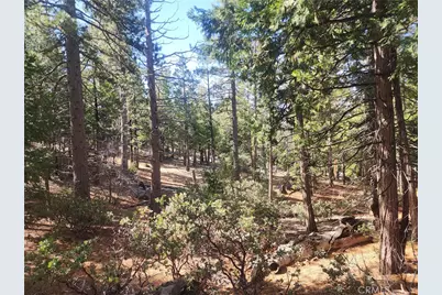 52547 Pine Cove, Idyllwild, CA 92549 - Photo 48