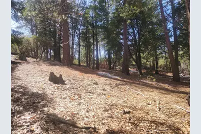 52547 Pine Cove, Idyllwild, CA 92549 - Photo 30