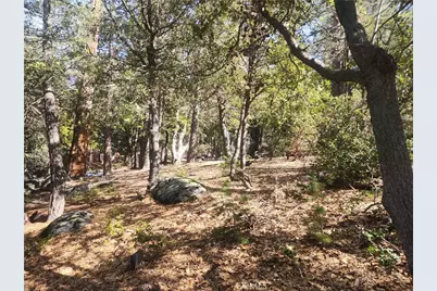 52547 Pine Cove, Idyllwild, CA 92549 - Photo 18