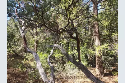 52547 Pine Cove, Idyllwild, CA 92549 - Photo 54