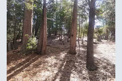 52547 Pine Cove, Idyllwild, CA 92549 - Photo 28