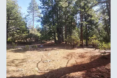 52547 Pine Cove, Idyllwild, CA 92549 - Photo 44