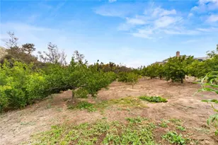 22475 Quail Call, Moreno Valley, CA 92557 - Photo 72