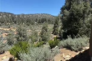 98417 Sierra Meadows Rd, Kennedy Meadows, CA 93527 - Photo 18