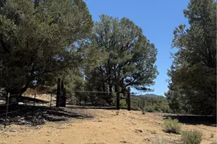 98417 Sierra Meadows Rd, Kennedy Meadows, CA 93527 - Photo 34