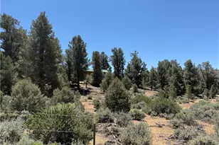 98417 Sierra Meadows Rd, Kennedy Meadows, CA 93527 - Photo 30