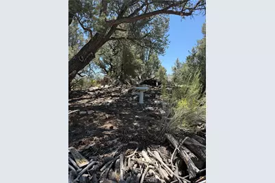 98417 Sierra Meadows Road, Kennedy Meadows, CA 93527 - Photo 24