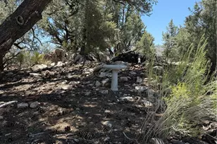 98417 Sierra Meadows Rd, Kennedy Meadows, CA 93527 - Photo 24