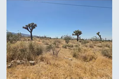 11524 Wintergreen Rd, Pinon Hills, CA 92372 - Photo 2