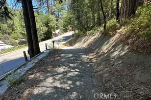 384 CA-138, Crestline, CA 92325 - Photo 4