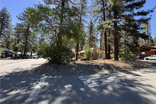 1459 Ross St, Wrightwood, CA 92397 - Photo 6