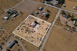 24374 Mobray Ave, Oro Grande, CA 92368 - Photo 16