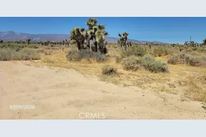0 Daisy Road, Phelan, CA 92371 - Photo 1