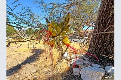7426 Elata, Yucca Valley, CA 92284 - Photo 30
