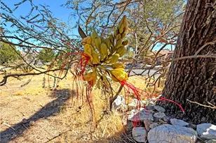 7426 Elata, Yucca Valley, CA 92284 - Photo 30