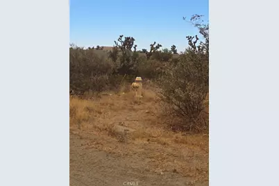 11380 El Esteban, Phelan, CA 92371 - Photo 8