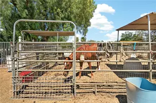 15091 Golden Star, Riverside, CA 92506 - Photo 6