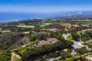 23 Pelican Vista, Newport Coast, CA 92657 - Photo 4