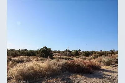 1 Pine Tree Road, Pinon Hills, CA 92372 - Photo 10