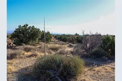 1 Pine Tree Road, Pinon Hills, CA 92372 - Photo 24