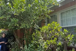 6030 Coldwater Canyon, North Hollywood, CA 91606 - Photo 4