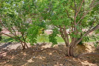 31244 Lakehills Road, Castaic, CA 91384 - Photo 66