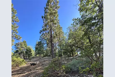 41089 Maryland Road, Big Bear Lake, CA 92315 - Photo 6