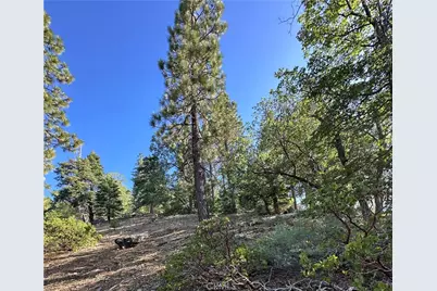41089 Maryland Road, Big Bear Lake, CA 92315 - Photo 4