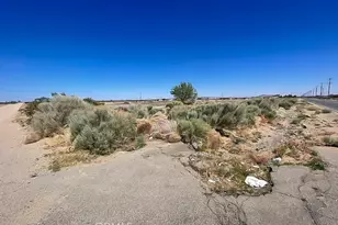 11252 Cactus, Adelanto, CA 92301 - Photo 14