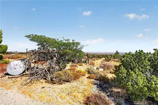 23503 E Ave Z, Llano, CA 93544 - Photo 8