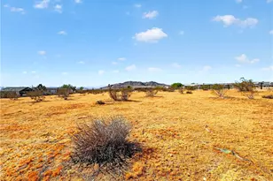 60850 Duvall Dr, Joshua Tree, CA 92252 - Photo 36