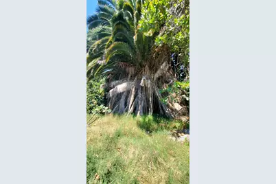 7347 De Soto, Los Angeles, CA 91303 - Photo 26