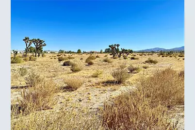 11975 Primavera Road, Pinon Hills, CA 92372 - Photo 12
